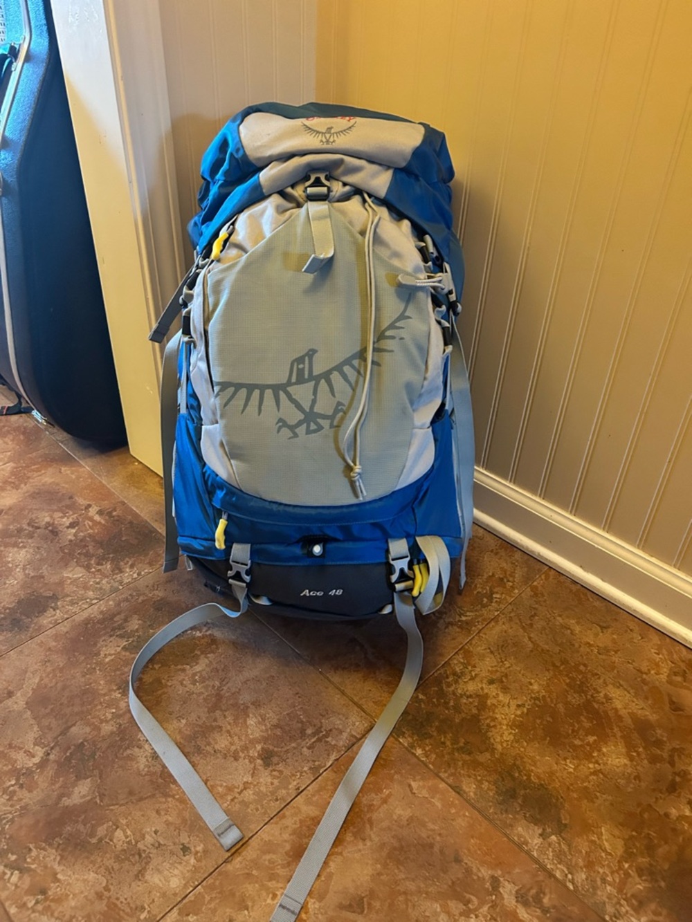 OSPREY Blue and Light Gray Kids Hiking Backpack- Ace 48